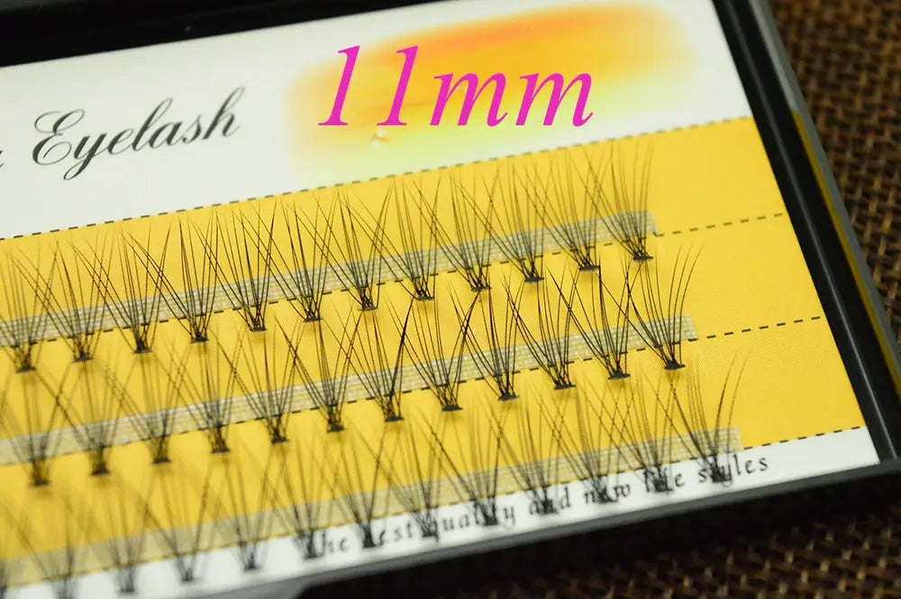 1box of Individual  Natural Style eyelashes 60 ct 6d 10d.