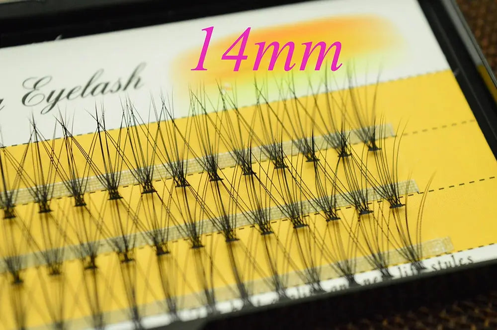 1box of Individual  Natural Style eyelashes 60 ct 6d 10d.