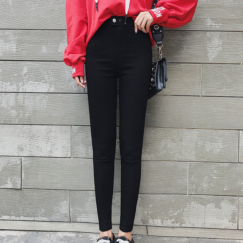 Women's Plus Size Slim Fit Pencil Pants