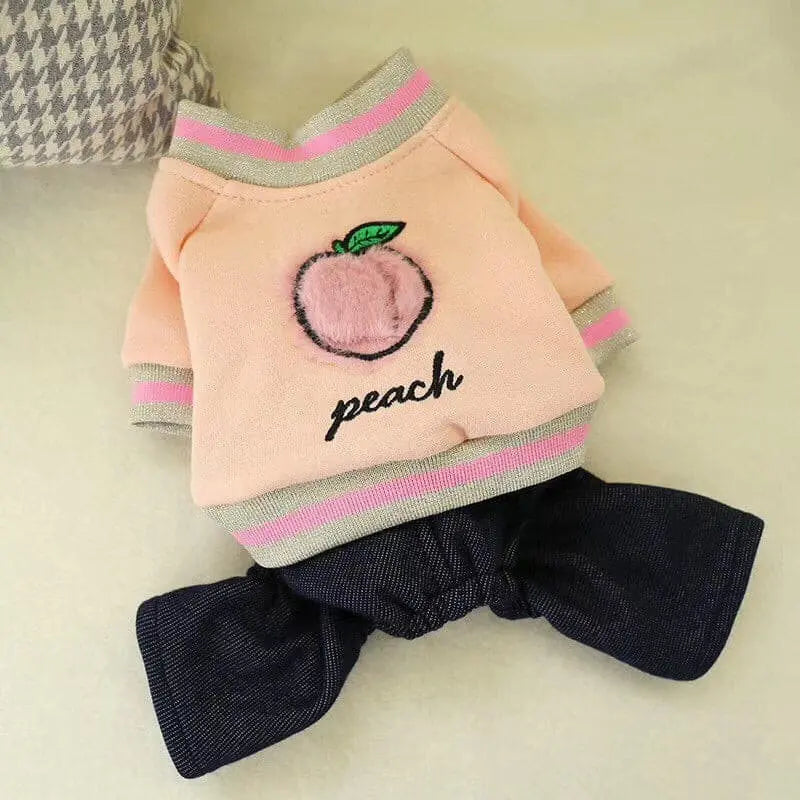 Pet dog cat autumn and winter new fresh plush honey Toti Bichon dog embroidered clothes manufacturers direct supply.