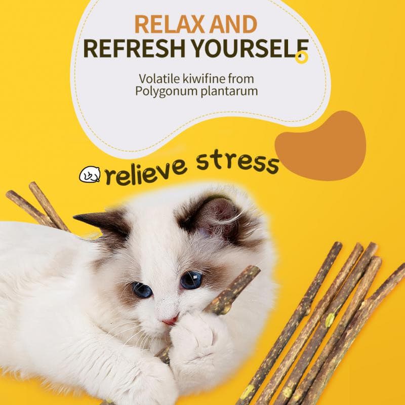 5 Sticks/box Catnip Pet Cat Molar Self-healing Chew Product All Natural Relieve Boredom Toothpaste Cleaning Teeth Snack Supplies - GOLDEN TOUCH APPARELS WOMEN