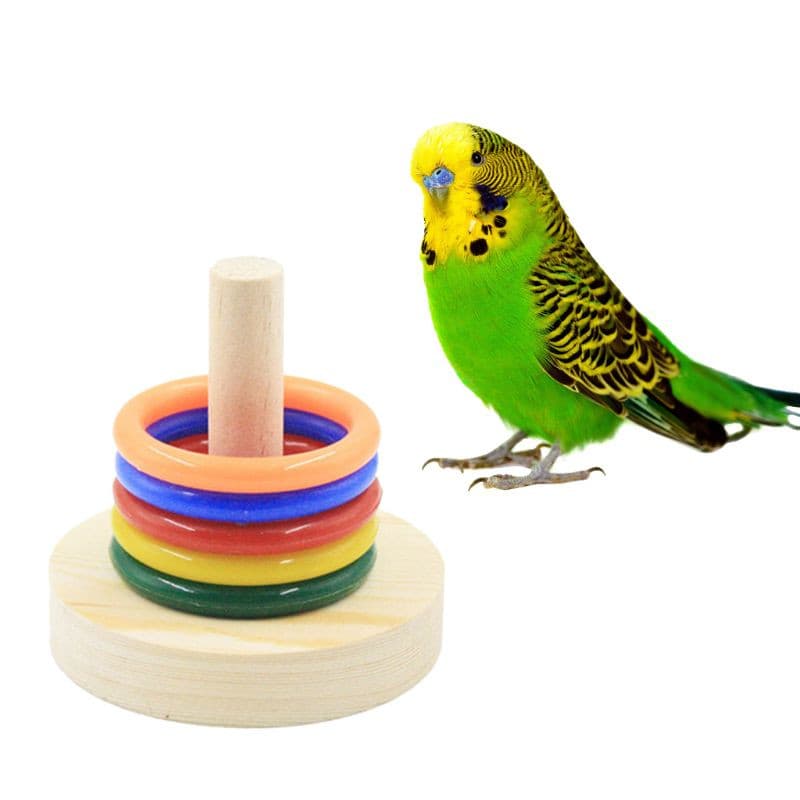 Bird Training Toys Set Rings Intelligence Training Chew Puzzle Toy Bird Training Toys Set Wooden Block Toys Bird Supplies - GOLDEN TOUCH APPARELS WOMEN