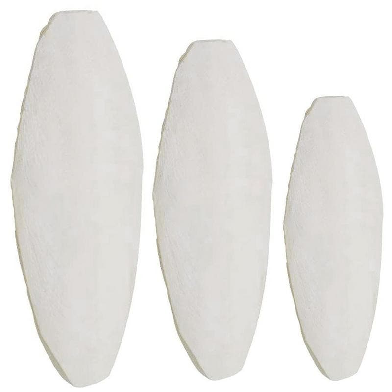 Birds Cuttlebone Parrot Chewing Cuttle Bones for Sharp Beaks Cuttle Bone for Parakeets Budgies Cockatiels - GOLDEN TOUCH APPARELS WOMEN