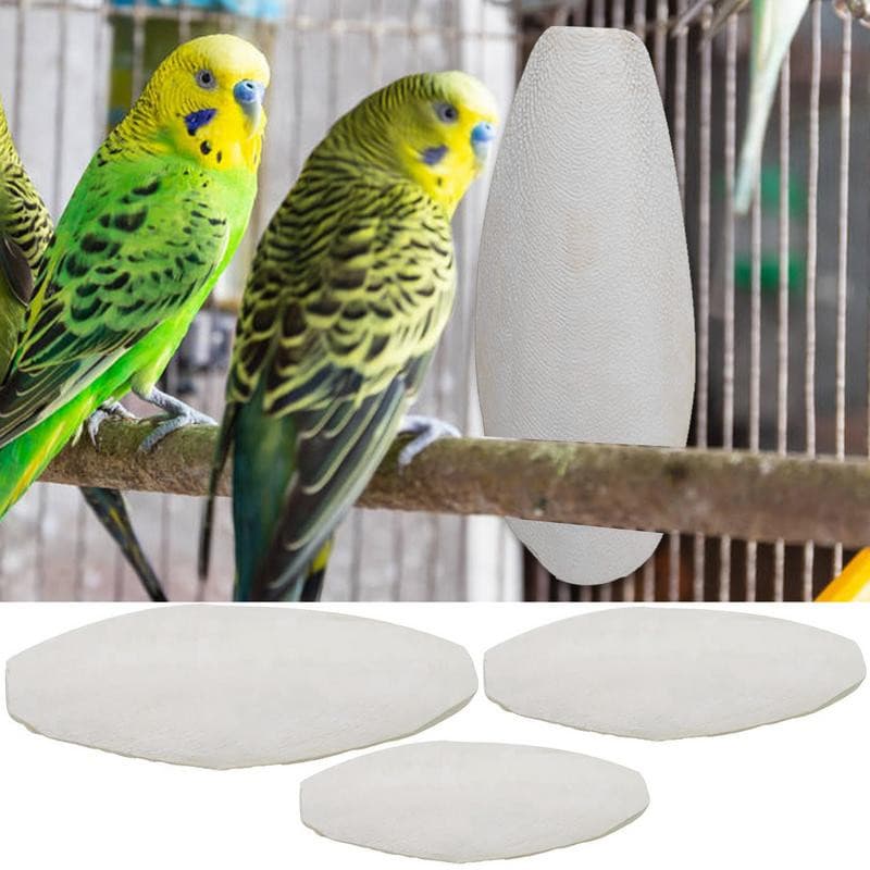 Birds Cuttlebone Parrot Chewing Cuttle Bones for Sharp Beaks Cuttle Bone for Parakeets Budgies Cockatiels - GOLDEN TOUCH APPARELS WOMEN