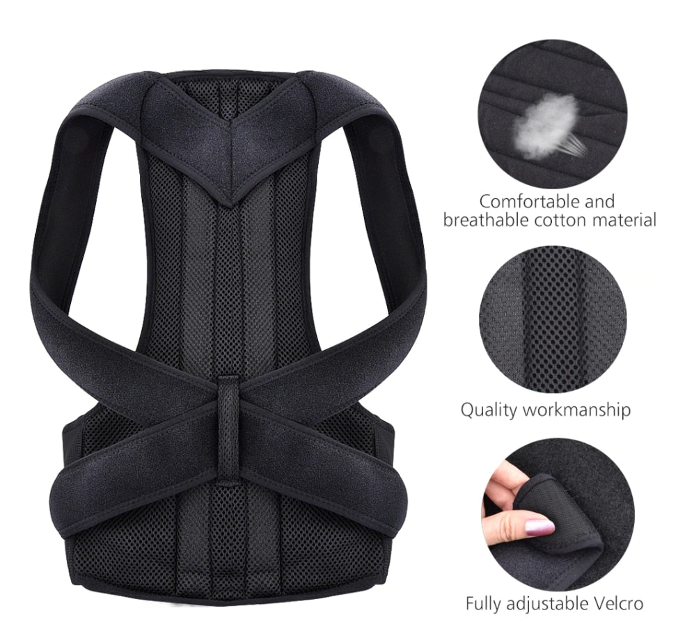 Lumbar Belt Ergonomic Abdominal Band For Column Posture Favorite - GOLDEN TOUCH APPARELS WOMEN