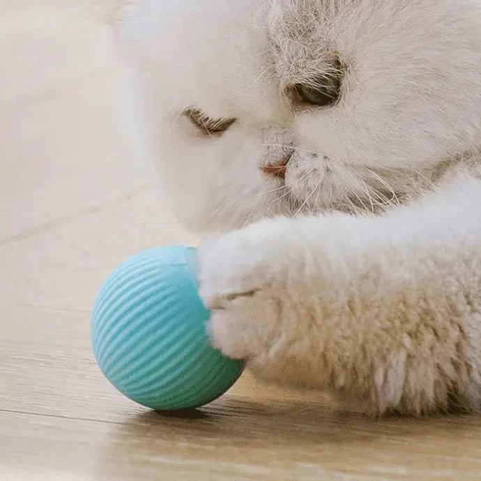 Cat Catch - Pelota inteligente para mascotas.