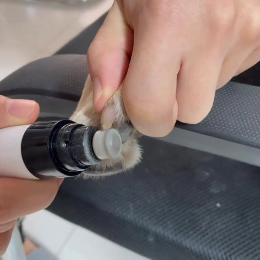 Dog Electric Manicure Scissors Cat Rechargeable Nail Clipper LED Nail Clipper Set Cross-border Supplies.