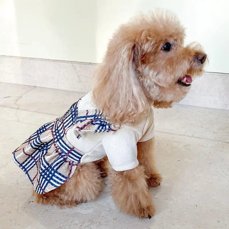 Pet dog cat autumn and winter new fresh plush honey Toti Bichon dog embroidered clothes manufacturers direct supply.