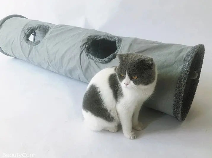 Suede cat drill hole cat tunnel rolls Dragon cat Locar Toy Self-tunnel cat supplies cat channel.