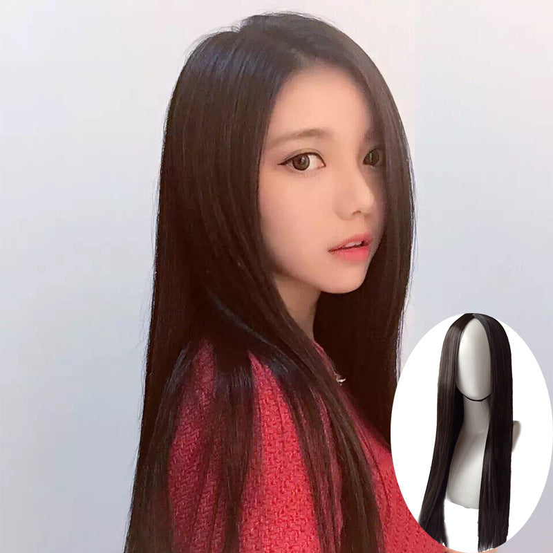 Cross-border new foreign trade wig ladies in black branch, straight hair cultivation, European and American high temperature wire, wholesale - GOLDEN TOUCH APPARELS WOMEN