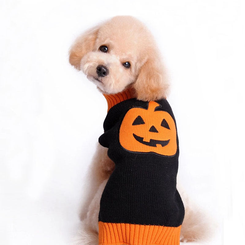 Knitted sweater with Halloween Pumpkin. Luxury chic clothing for