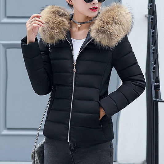 "Warm and Stylish Parka Padded Jackets for Men and Women"