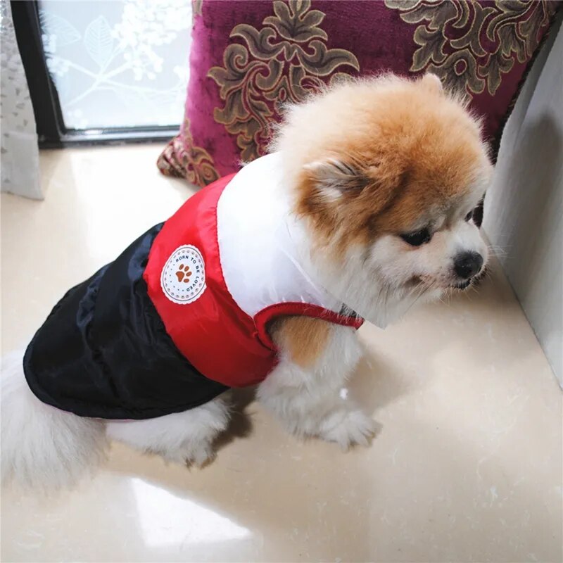 Pet Clothes Thicken Pet Coats Waterproof Dog Cat Vest Jacket