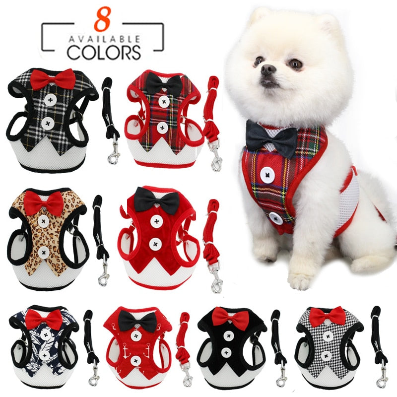 Elegant Bow Dog Collars Necktie Traction Rope Christmas Pet Harness for Small Medium Dogs Cat Chest Strap Dog Accessories Gifts - GOLDEN TOUCH APPARELS WOMEN
