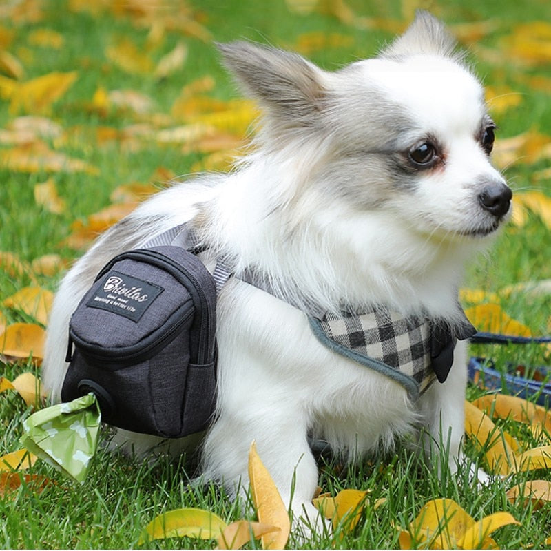 Portable Dog Training Treat Bag Outdoor Pet Dog Treat Pouch Puppy Snack Reward Waist Bag Dog Poop Bag Dog Carriers Bags - GOLDEN TOUCH APPARELS WOMEN