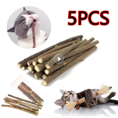 5 Sticks/box Catnip Pet Cat Molar Self-healing Chew Product All Natural Relieve Boredom Toothpaste Cleaning Teeth Snack Supplies - GOLDEN TOUCH APPARELS WOMEN