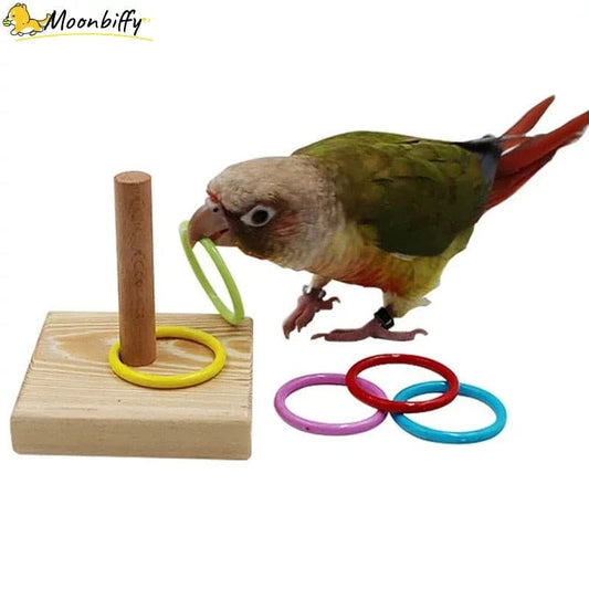 Bird Training Toys Set Rings Intelligence Training Chew Puzzle Toy Bird Training Toys Set Wooden Block Toys Bird Supplies - GOLDEN TOUCH APPARELS WOMEN