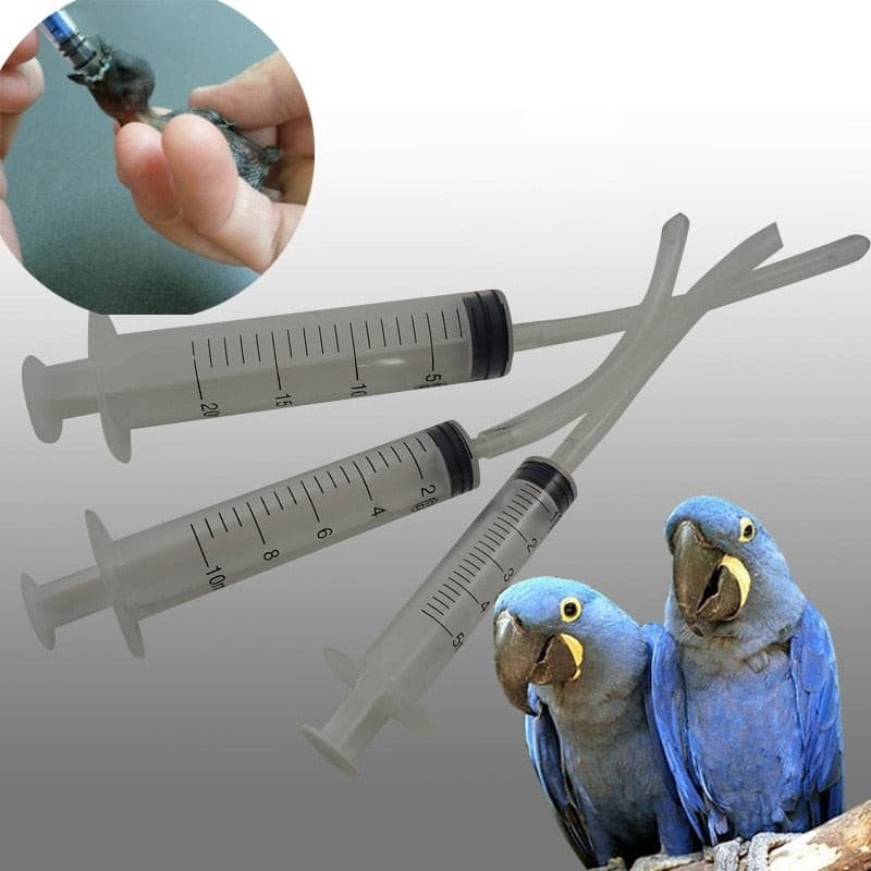 1Pc Nestlings Baby Birds Universal Feeding Syringe Pigeon Budgie Parrot Hand Rearing Food Kit Crop Needles Exact  5ML/10ML/20ML - GOLDEN TOUCH APPARELS WOMEN