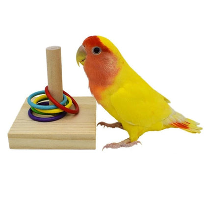 Bird Training Toys Set Rings Intelligence Training Chew Puzzle Toy Bird Training Toys Set Wooden Block Toys Bird Supplies - GOLDEN TOUCH APPARELS WOMEN