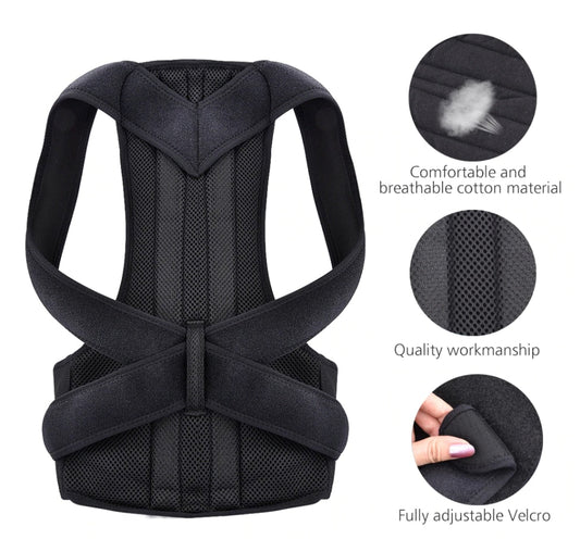 Lumbar Belt Ergonomic Abdominal Band For Column Posture Favorite - GOLDEN TOUCH APPARELS WOMEN